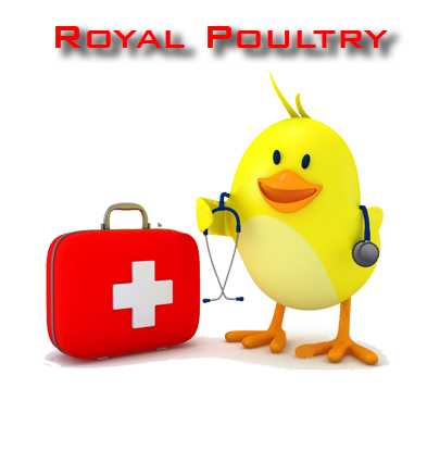 royal poultry consultancy homepage